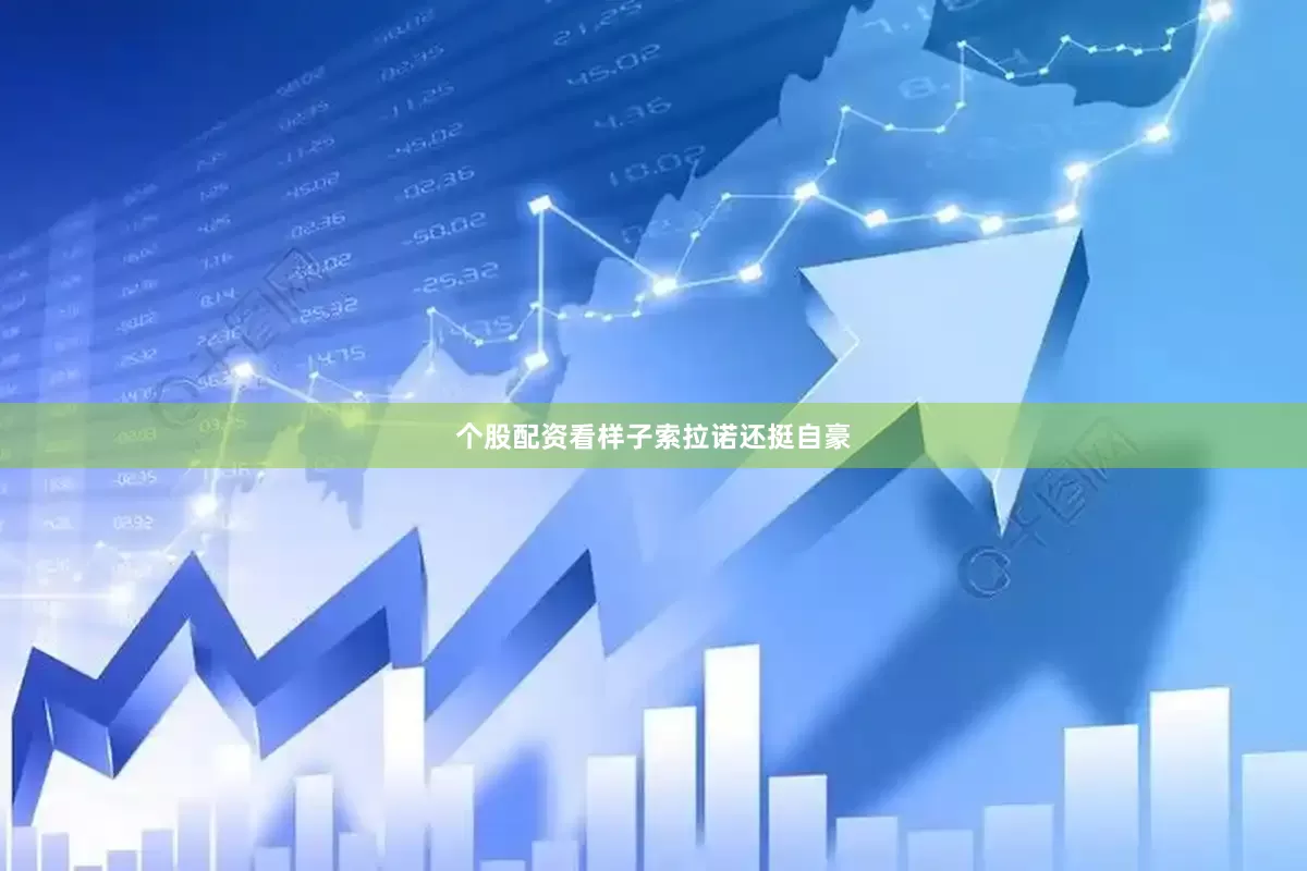 个股配资看样子索拉诺还挺自豪