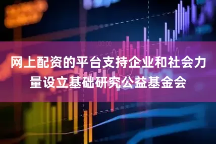 网上配资的平台支持企业和社会力量设立基础研究公益基金会